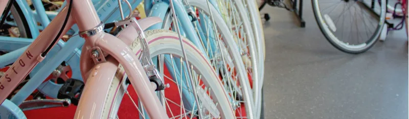 24 Inch Wheel ( Age 8+ )